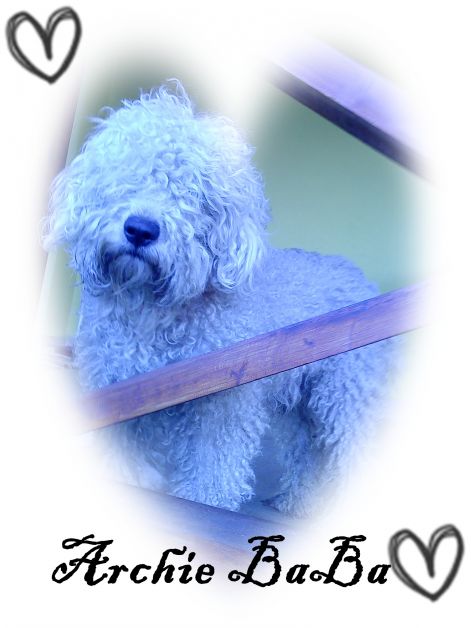 dsc03730.jpg dsc03730.jpg